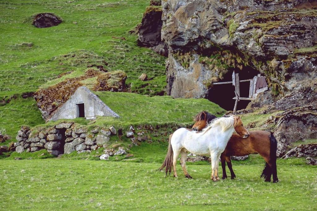 アッシュバートンThe Luxury Dartmoor Den, Dartmoor, Devonアパートメント エクステリア 写真